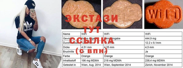 шишки Абаза