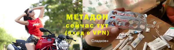 шишки Абаза