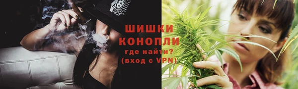 шишки Абаза
