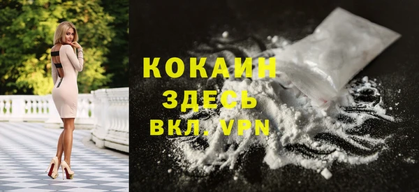 шишки Абаза