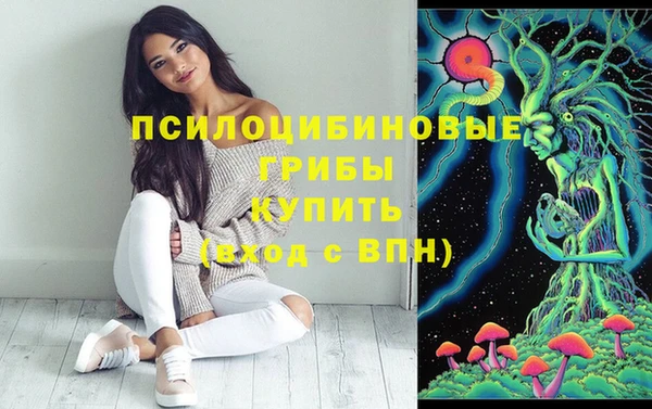 шишки Абаза