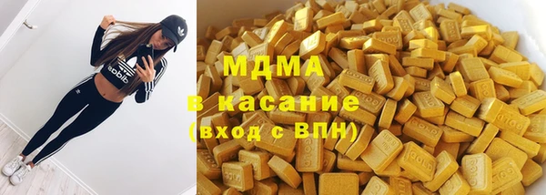 шишки Абаза