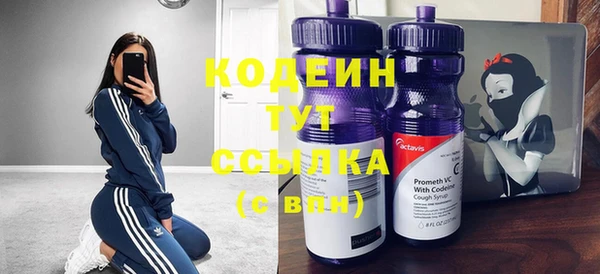 шишки Абаза